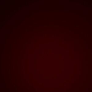 Burberry Kids Dress - Deep Red